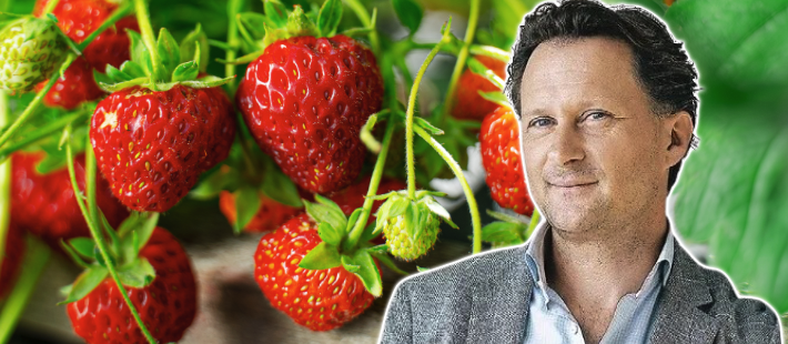 Sluta åtminstone döda engagemanget